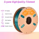 Eryone HS Dual Silk PLA - Emerald Green & Black (1kg - 1.75mm)